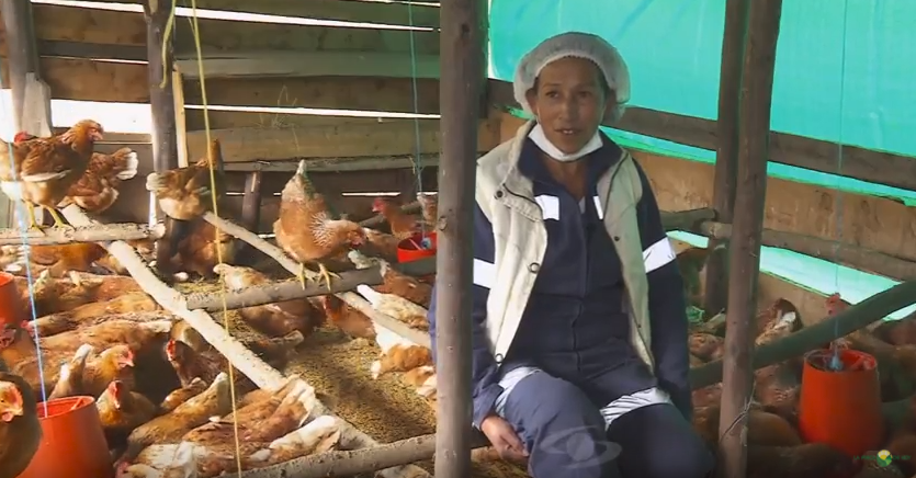 Casos de éxito: Esta emprendedora empezo con 30 gallinas